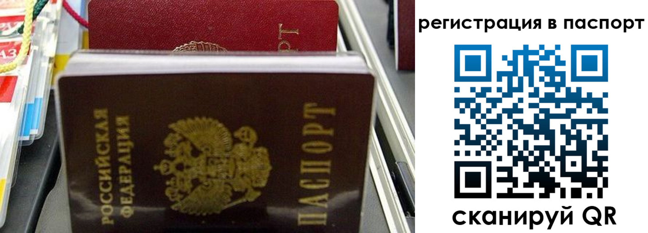 прописка для школы в Азове